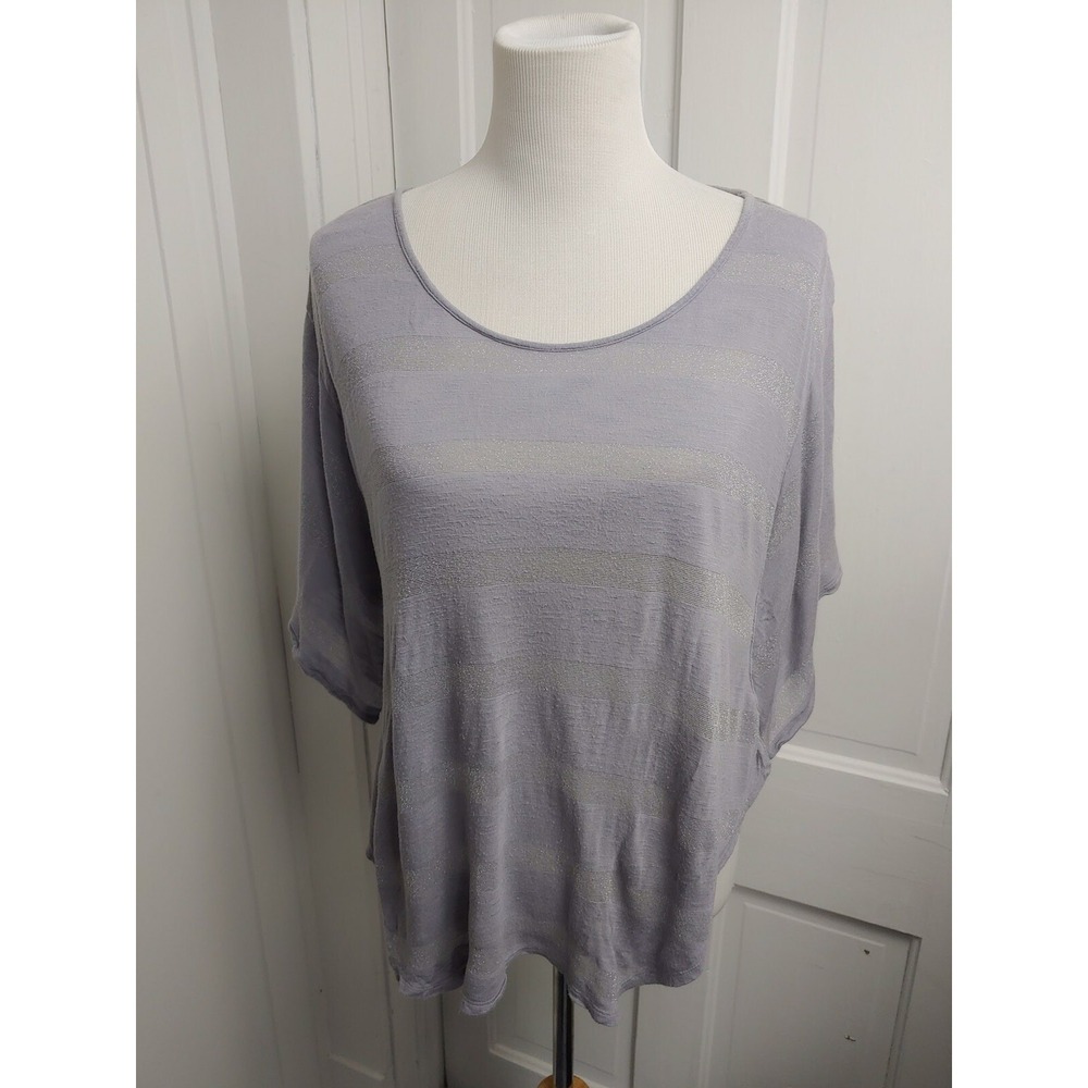 Express Top Women's Size Large Gray Striped Sparkle Winged Arms Blouse